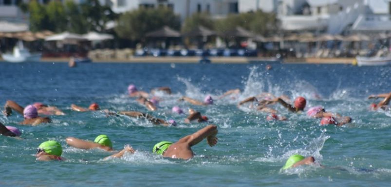 swim1500
